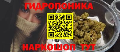 спайс Кимры
