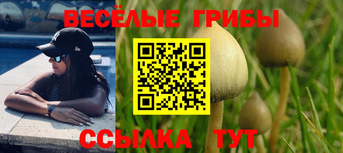 Трёхгорный  Галлюциногенные грибы Psilocybe  Псилоцибиновые грибы ЛСД  Вход с VPN 